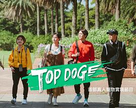 水果派官方论坛《TOP DOG》免费在线观看