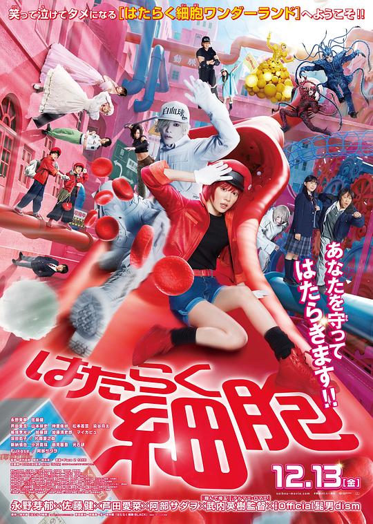 每日吃瓜爆料《工作细胞 真人版 はたらく細胞》免费在线观看