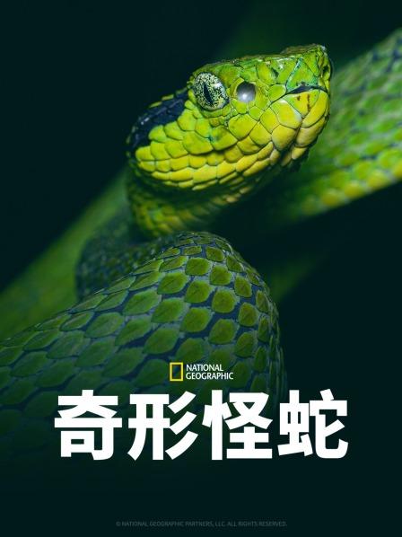 污污漫画《奇形怪蛇》免费在线观看